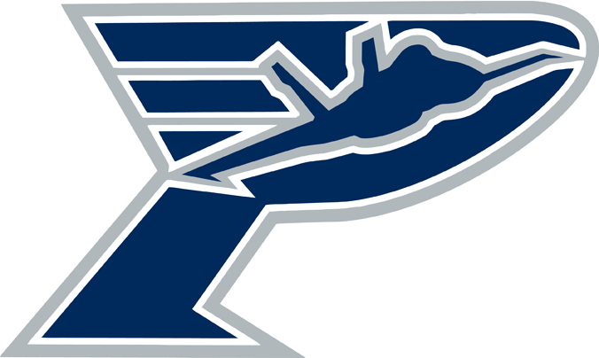 pensacola ice flyers 2013-pres secondary logo iron on transfers for clothing